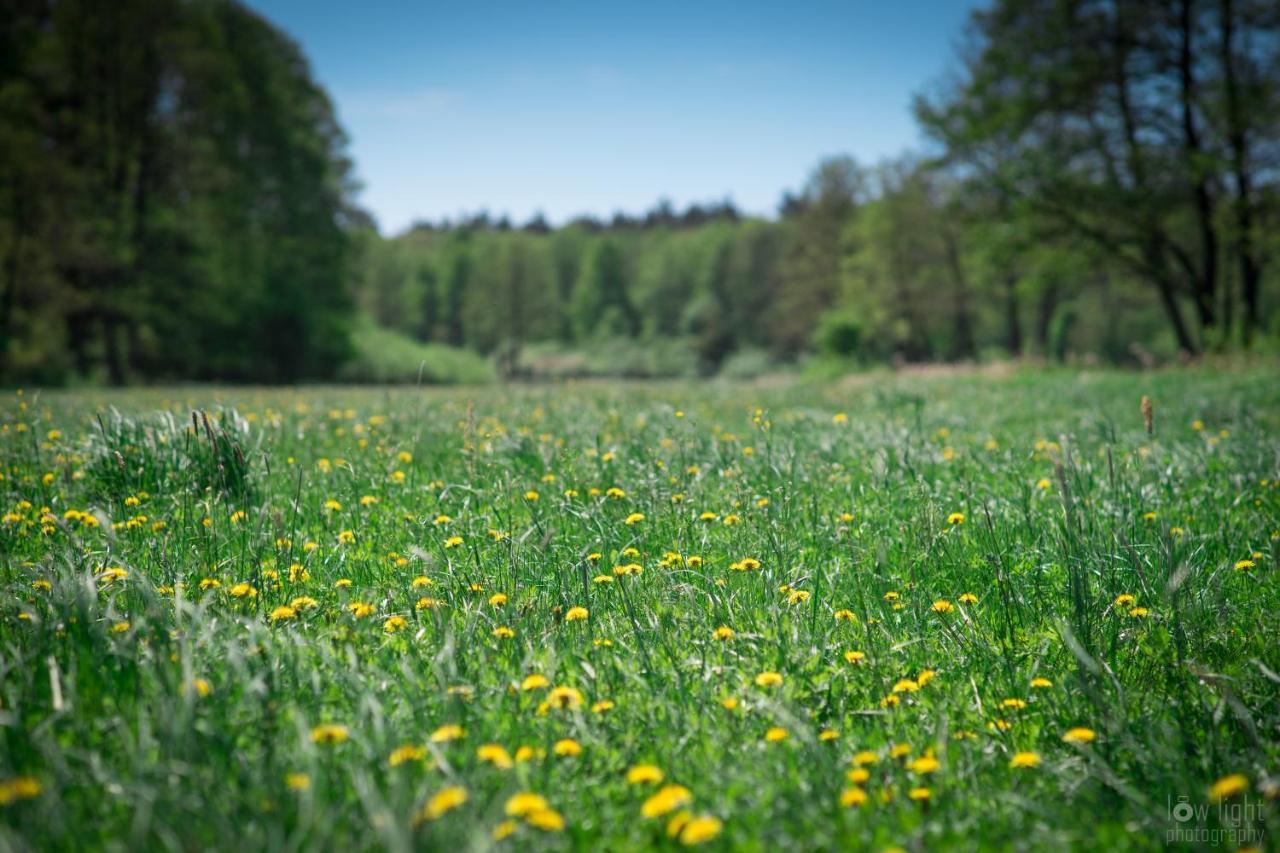 Lesny Dworek Snochowice Esterno foto