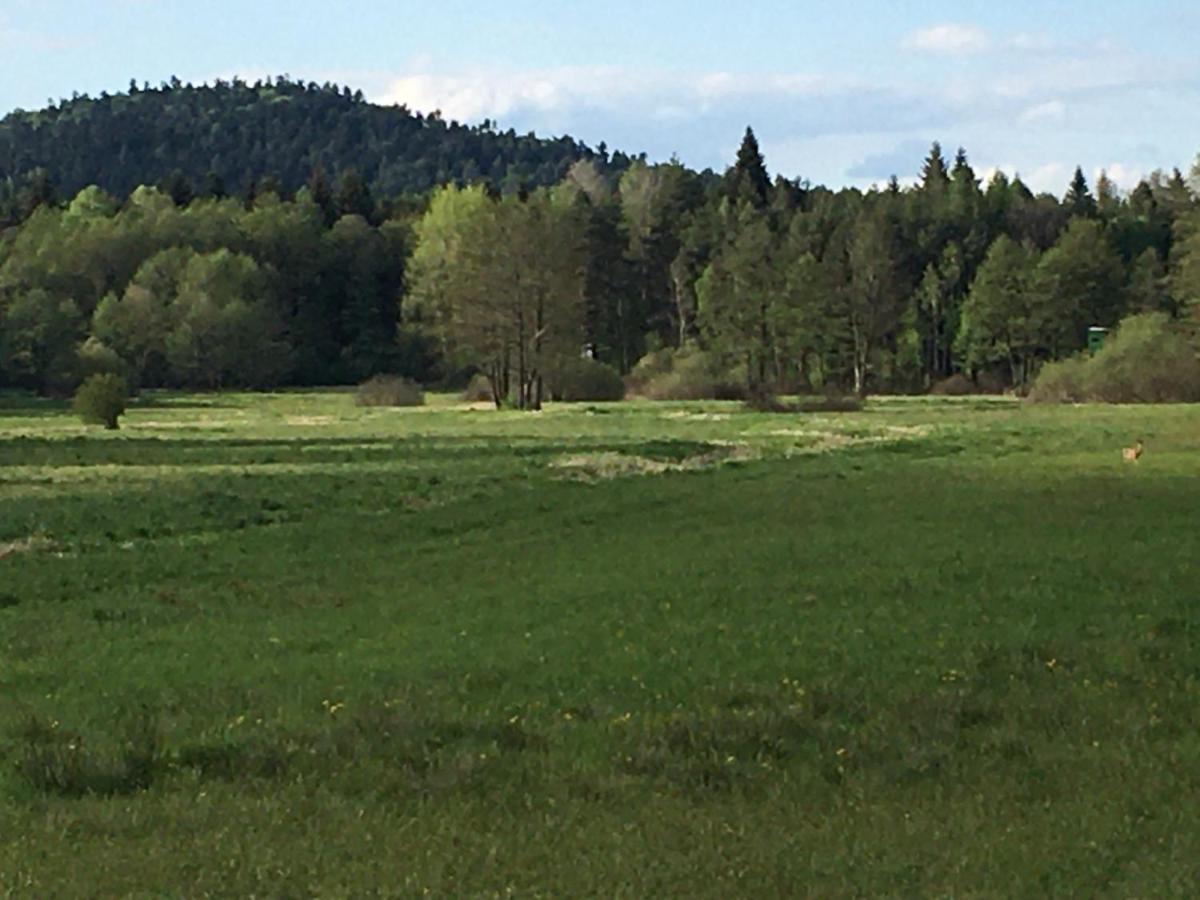 Lesny Dworek Snochowice Esterno foto